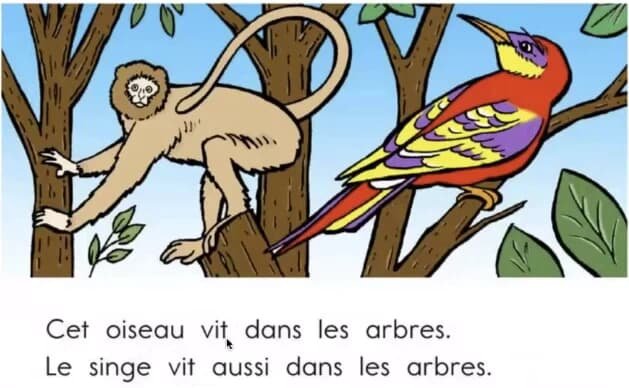 少儿法语课《French for youth》