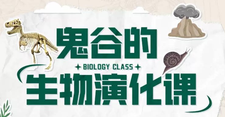 鬼谷的生物演化课