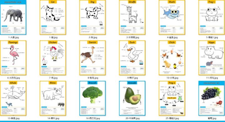 少儿英语启蒙基础版思维导图