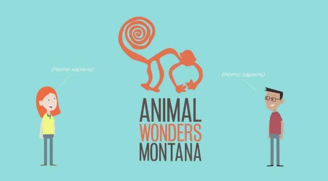 油管热门英文儿童动物科普节目《动物奇观 Animal Wonders》